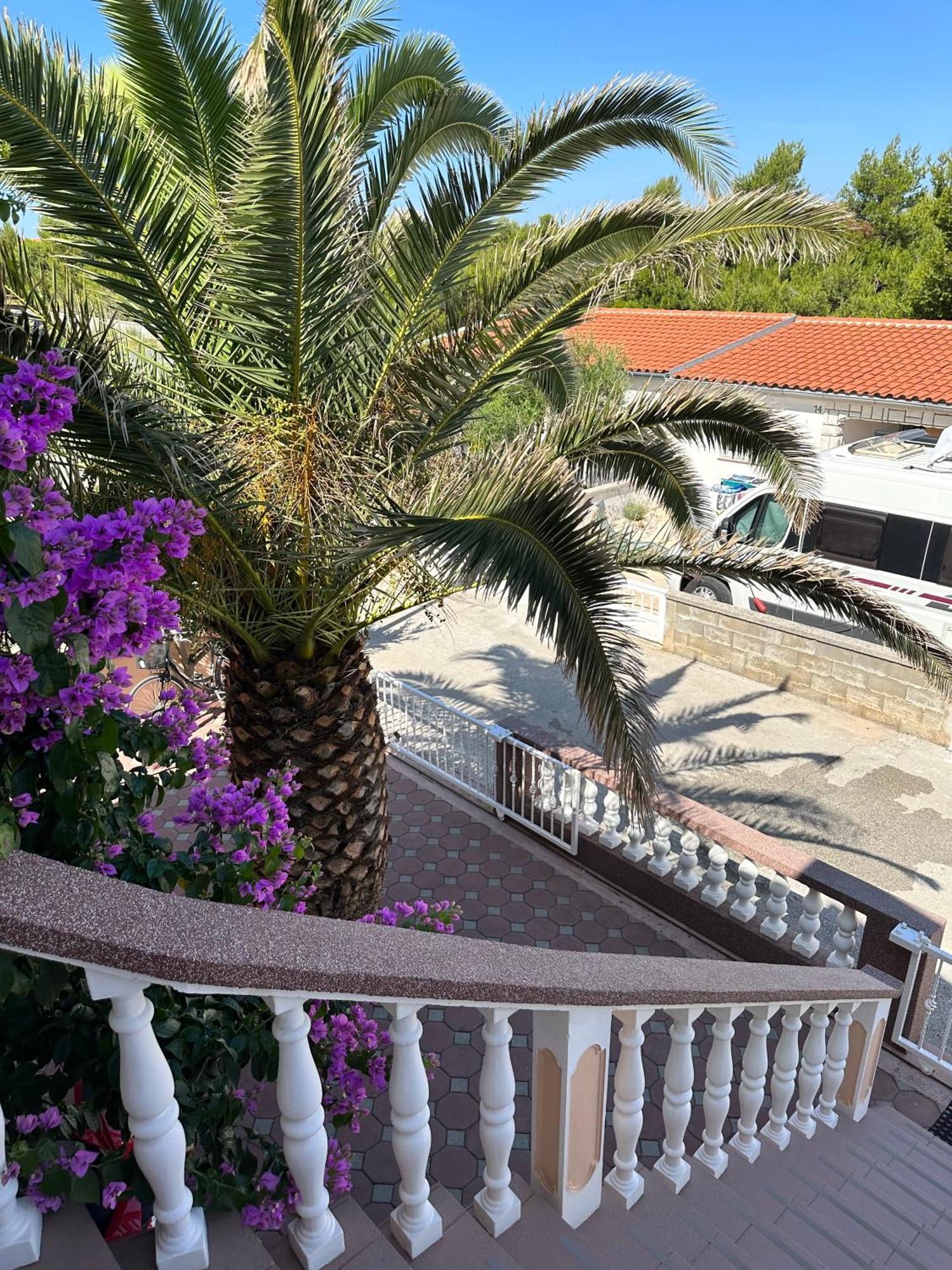 Apartmani Bermanec Vir Kültér fotó